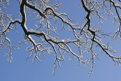 �ste mit  Schnee