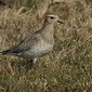 M�rz